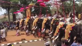 പൂരങ്ങളുടെ പൂരം| poorangalude pooram| thrissur pooram premo video