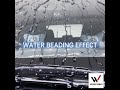 Wischer Rain Repellent (Windscreen Coating)