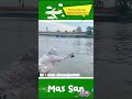 beginilah jika cewek belajar mancing di sungai lucu shortvideo videoviral