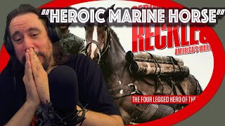 Vet Reacts America's War Horse Marine - Sergeant Reckless--The Fat Electrician *Heroic Marine Horse*