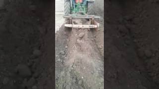 Bed system for turmeric