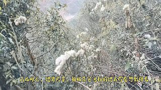 探秘毕节市双山镇箐沟河无名山寨