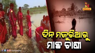 Mission Shakti: From Labourers to Fish Farmers | NandighoshaTV