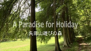 癒しの時間　矢田山遊びの森