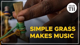 How a simple grass produces Nadaswaram music