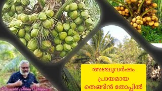 അഞ്ചു വർഷം പ്രായമായ നല്ല ആദായമുള്ള തൃശ്ശൂർ- പഴയന്നൂർ ടൗണിന് 2.5 kmഅടുത്തുള്ള 4 ഏക്കർ തെങ്ങിൻ തോപ്പ്