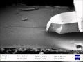 Watch the AFM tip at work, with the DME BRR, a fully integrated hybrid SEM AFM system