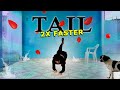 [2X FASTER] SUNMI (선미) - TAIL (꼬리) - 2X SPEED Dance Cover? by Frost + WATER BALLOON WAR