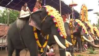 Mudappallur Vela at Sree Azhikulangara Bhagavathi Temple in Palakkad, Kerala