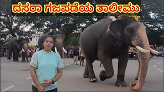 ಮೈಸೂರು ದಸರಾ ಅಂಬಾರಿ ಹೊರುವ ಆನೆಗಳು/Mysore Dasara elephant #viral#travel  #karnataka #mysore #dasara