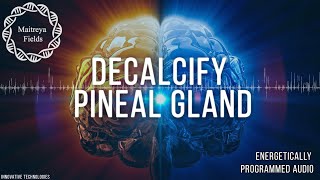 Decalcify Pineal Gland / Energetically Programmed Audio / Maitreya Reiki™