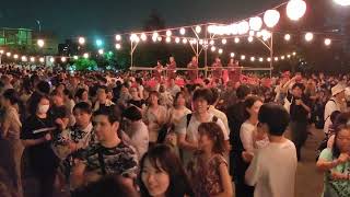 「波乗りジョニー」サザンオールスターズ　2024年第2回奥浅草盆踊り大会36　隅田公園山谷堀広場　東京都台東区　下町台東盆踊り協議会　浅草たいこばん