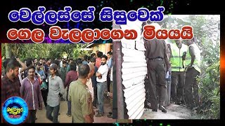 වෙල්ලස්සේ සිසුවෙක් ගෙල වැලලාගෙන - Badulupura News