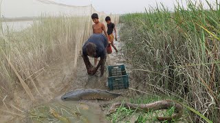 বর্ষায় তারা বাইন শোল চিংড়ি মাছ ধরার সেরা কৌশল||Best Fishing Technique in Rainy Season