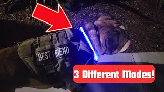 My Opinion Of LED Dog Collar | Rechargeable Light Up Dog Collars | Dog Collar By NOVKIN #review