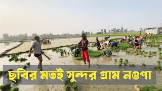 ছবির মত সুন্দর গ্রাম সিরাজগঞ্জ জেলার নওপা। গ্রামের সৌন্দর্যৌ। ​⁠@PanoramaDocumentary