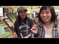 aoyama farmer s market