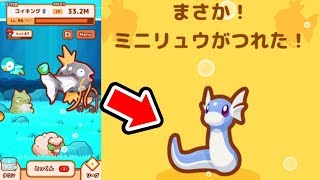 はねろ コイキングをギャラドスに進化させる方法 ポケモンでさとちん