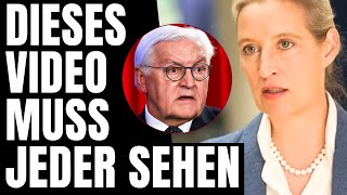 PFLICHTVIDEO 🚨 DIESES VIDEO MUSS JEDER SEHEN! 🚨 DIESE AFD SENDUNG GEHT ÜBERALL AUF X VIRAL