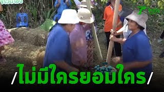 สีสันการแข่งขันตำข้าวประกอบลีลา | 07-02-63 | ตะลอนข่าว