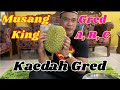 Musang King Gred A, B & C - Dah Macam Mana Nak Kenal?