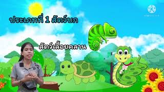 หน่วยสัตว์โลกน่ารัก เรื่องอาหารของสัตว์แต่ละประเภท