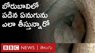 Baby Elephant: జేసీబీ సాయంతో ఏనుగు పిల్లను ఎలా బయటకు తీస్తున్నారో | BBC Telugu