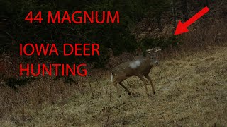 HITTING HARD! 44 Magnum Deer Hunting