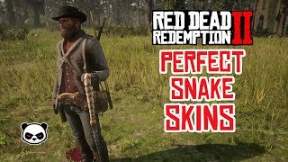 How To Get Perfect Snake Skins In Red Dead Redemption 2 Very Easy