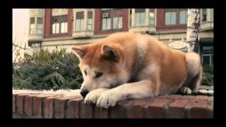 Hachiko A Dog's Story Music  From Movie