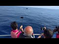 blue whale in indian ocean sri lanka