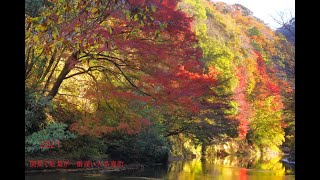 関東で紅葉が一番遅い大多喜町養老渓谷等の紅葉(２０２１年版)