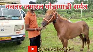 🔥🚩 हेरले वडगाव नवतर व जणरल मैदान 🔥🚩 #horse #महाराष्ट्र #youtube #बैलगाडा #नाद #video #viral#bailgada