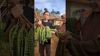 Nikmat Makan nasi liwet di rumah mangpep #cianjurturunankidul #ngaliwet