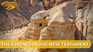 Who were these elusive Essenes?  - The Essenes in the New Testament