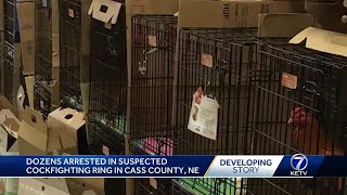 Dozens arrested in suspected cockfighting ring in Cass County, NE