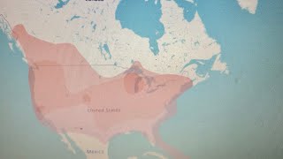HF & VHF Propagation live maps.