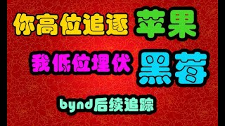 黑莓启动，谁与争锋，bynd后续追踪