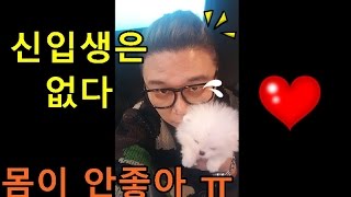 【도캐철이】애들아 미안 ㅠㅠ 신입생은 없다 ( 견사못감 )