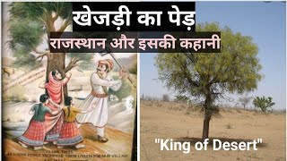 Khejri tree benefits \u0026 history Rajasthan #summer #april #2022