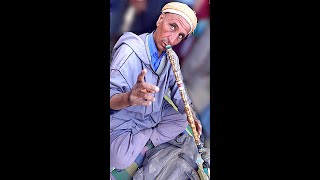 Gasba diwane danse 77 قصبة ديوان ورقص @Chants-et-danses-traditionnels​