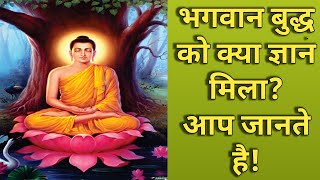 भगवान बुद्ध को क्या ज्ञान मिला? आप जानते है ! What #buddha enlightened ?