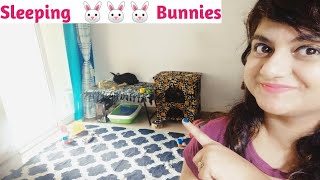 Vlog2 Sleeping Time My Cute Bunny Rabbits