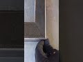 Then securely fasten all metal parts connected to the frame in accordance with strict procedures