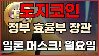 [ 도지코인 ]  정부 효율부 장관 일론 머스크 월요일날 결정 된다!