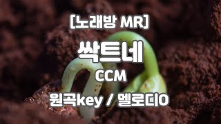 [DJ노래방/멜로디O] 싹트네 MR (C 원곡key) / 하다지MR