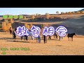 敖包相会 -  银屏回声。电影《草原上的人们》插曲。演唱：张振富 耿莲凤。Mongolian Songs