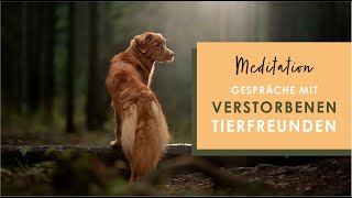 Kontakt mit deinem verstorbenen Tierfreund - Geführte Meditation | 13 Minuten | Tierkommunikation