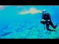 scuba diving with a 360 camera at ascension island sailing vessel delos