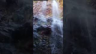 Bolani Jinkra Water fall #viewpoint #shortvideo #waterfall #odisha